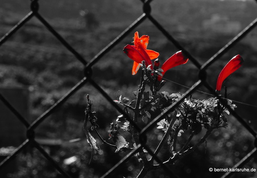 25-01-14-las manchas-049