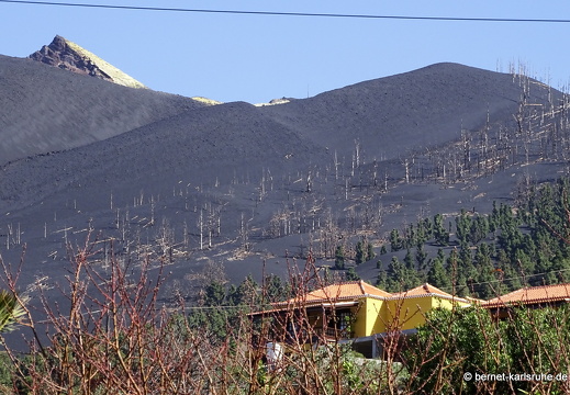 25-01-14-las manchas-051