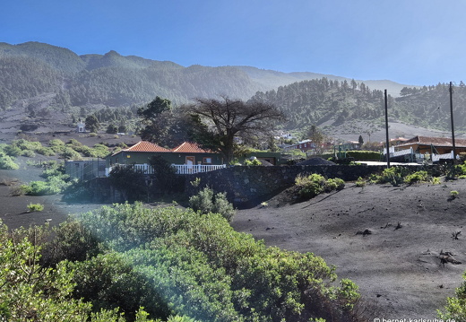 25-01-14-las manchas-052