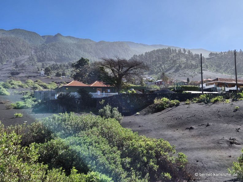 25-01-14-las manchas-052.jpg