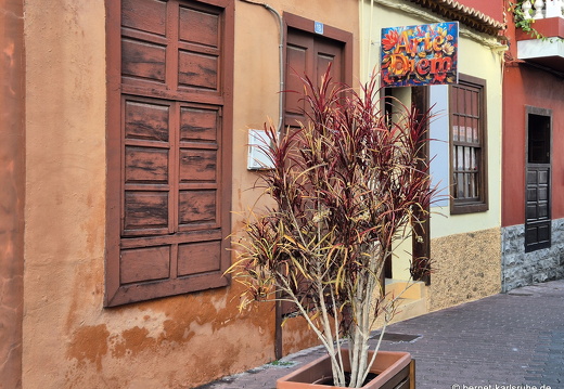 25-01-26-tazacorte-011