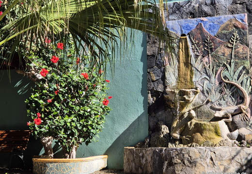 25-01-28-tazacorte-080