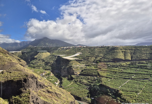 25-01-24-el jesus-093