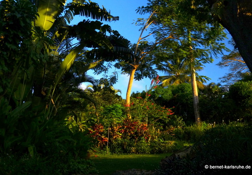 20-01-19-smithys garden-037