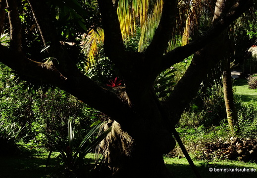 20-01-16-smithys garden-026