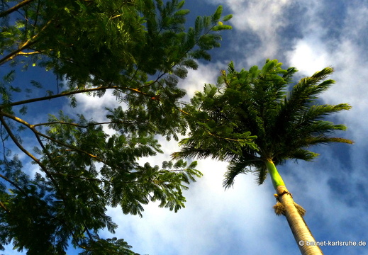 20-01-15-smithys garden-015