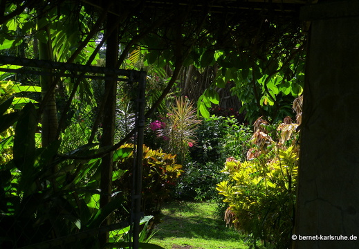 20-01-14-smithys garden-010