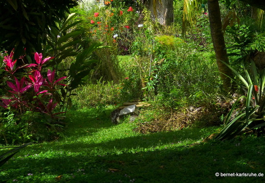 20-01-14-smithys garden-002