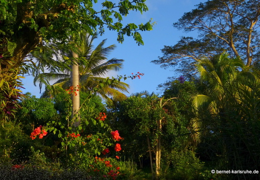 20-01-13-smithys garden-195