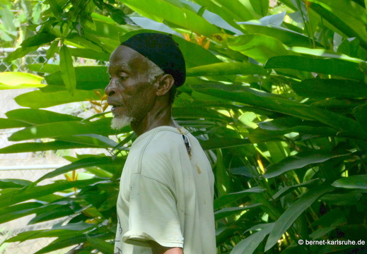 20-01-13-smithys garden-023