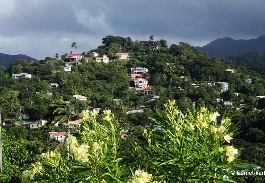 20-01-11-smithys garden-aussicht-001