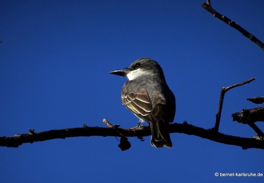 20-01-17-grand anse-005