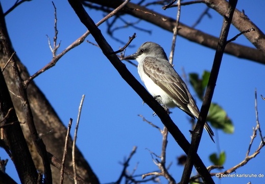 20-01-17-grand anse-004