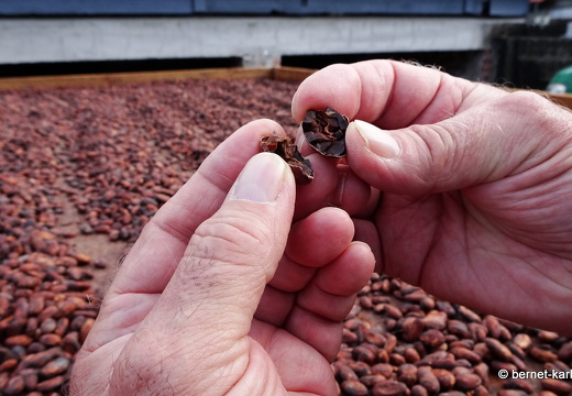 20-01-20-crayfishbay-kakao-herstellung-