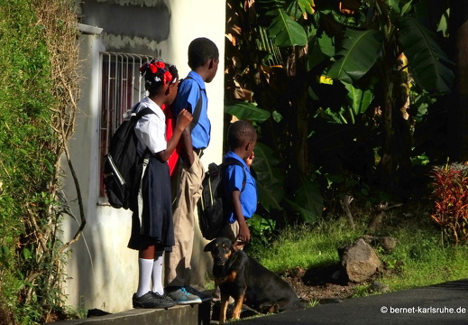 20-01-21-crayfishbay-farm-035