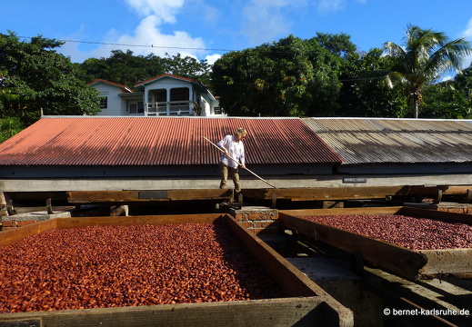 20-01-21-crayfishbay-farm-kakao-herstellung-003