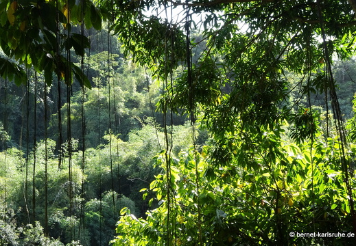 20-01-22-crayfishbay-farm-026