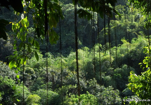 20-01-22-crayfishbay-farm-027