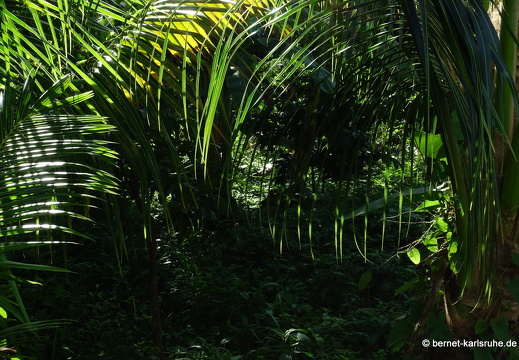 20-01-22-crayfishbay-farm-038