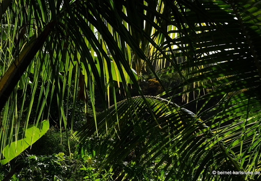 20-01-22-crayfishbay-farm-041