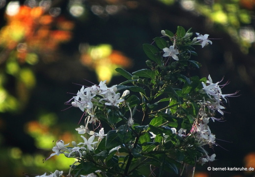 20-01-24-crayfishbay-016