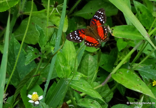 20-01-24-crayfishbay-046