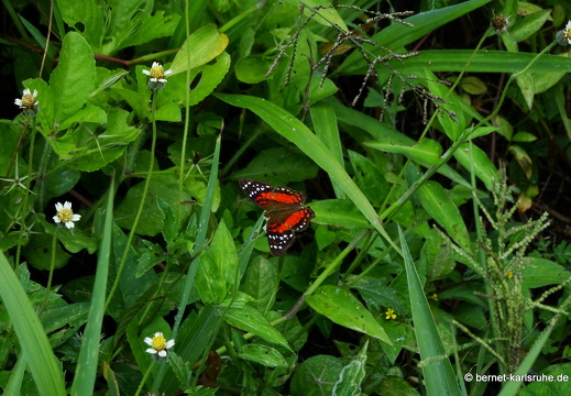 20-01-24-crayfishbay-047