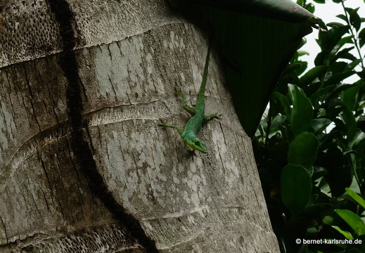 20-01-24-crayfishbay-echse-