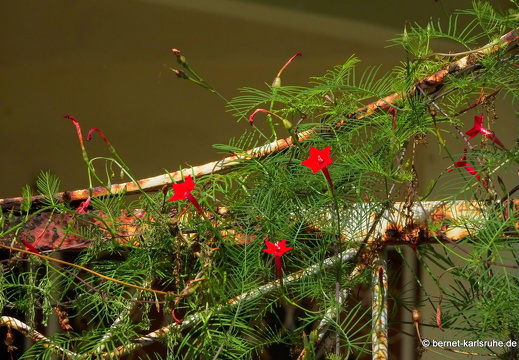 20-01-24-victoria-064