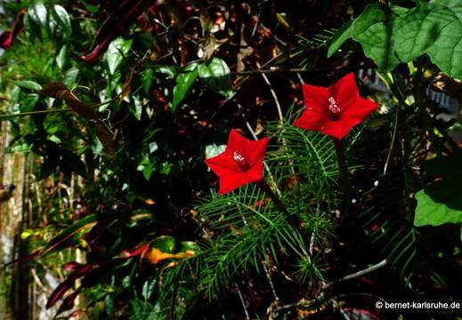 20-01-24-victoria-066