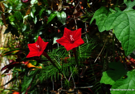 20-01-24-victoria-069