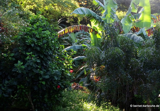 20-01-26-crayfishbay-017