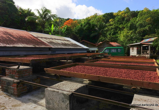 20-01-26-crayfishbay-kakao-herstellung