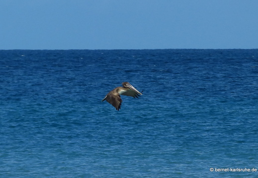 20-01-23-sauteurs-091