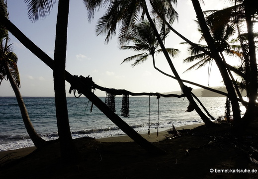 20-01-31-petite anse-011