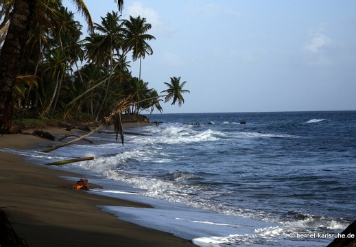 20-01-31-petite anse-012