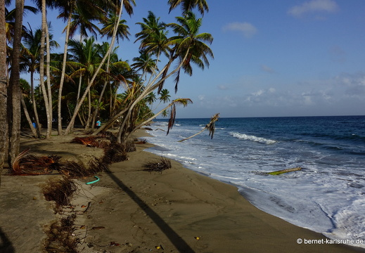 20-01-31-petite anse-022
