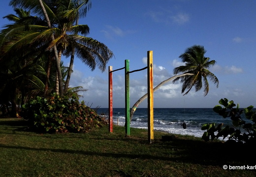 20-01-31-petite anse-038