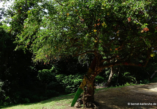 20-02-01-sauteurs-ausflug-1-sulphur spring-019