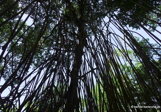 20-02-01-sauteurs-ausflug-3-levera see-004