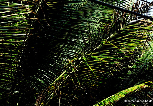 20-02-01-sauteurs-mount craven-001