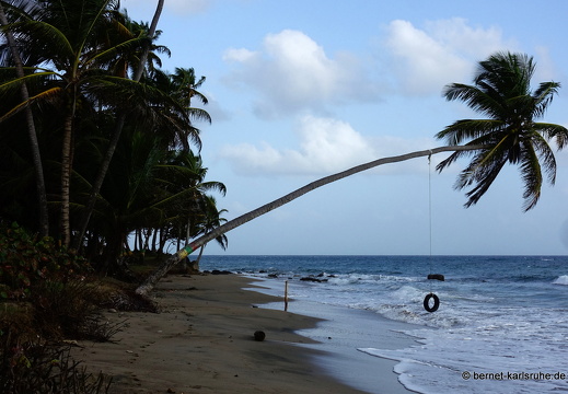 20-02-01-sauteurs-petite anse-033