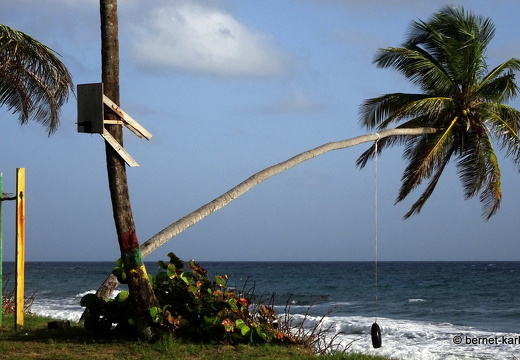 20-02-01-sauteurs-petite anse-042