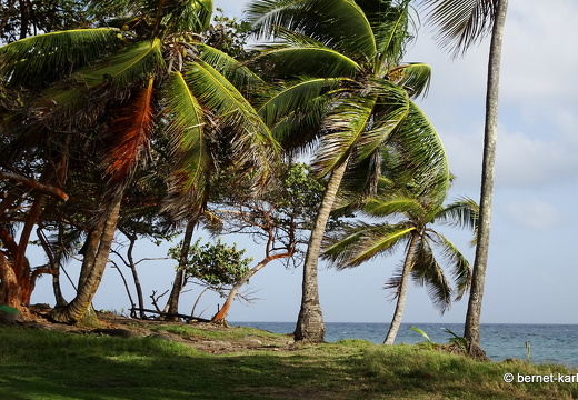 20-02-01-sauteurs-petite anse-060