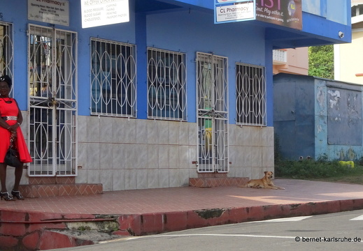 20-02-02-sauteurs-100