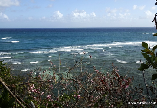 20-02-07-westerhall-beckemoui-spaziergang zum strand-015