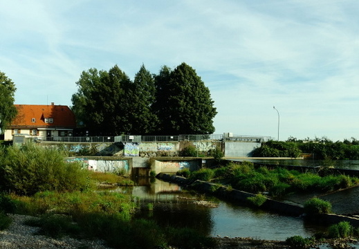 23-09-02-am grossendeich-008