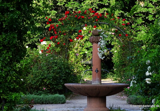 23-09-03-rosengarten-003