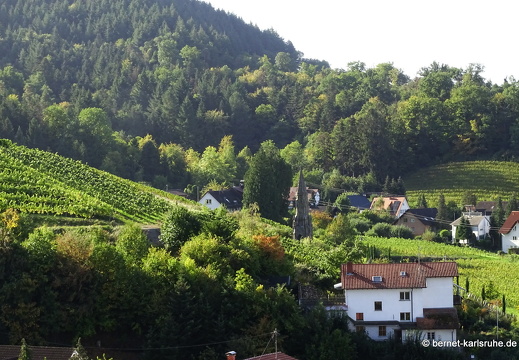 23-10-11-fessenbach-032
