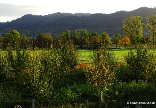 23-10-23-wasserschutzgebiet-020